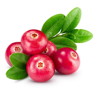 Cranberry Extract
