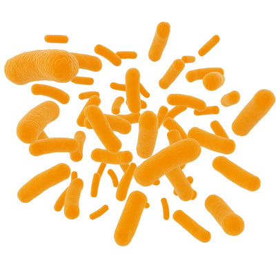 Probiotics